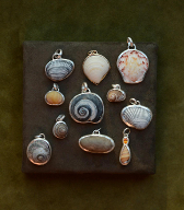 Silver Shell Pendant